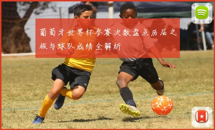 葡萄牙世界杯参赛次数盘点历届之旅与球队成绩全解析