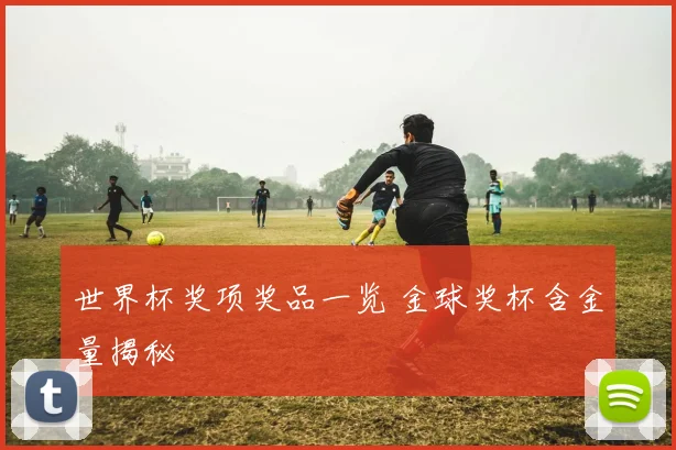 世界杯奖项奖品一览 金球奖杯含金量揭秘