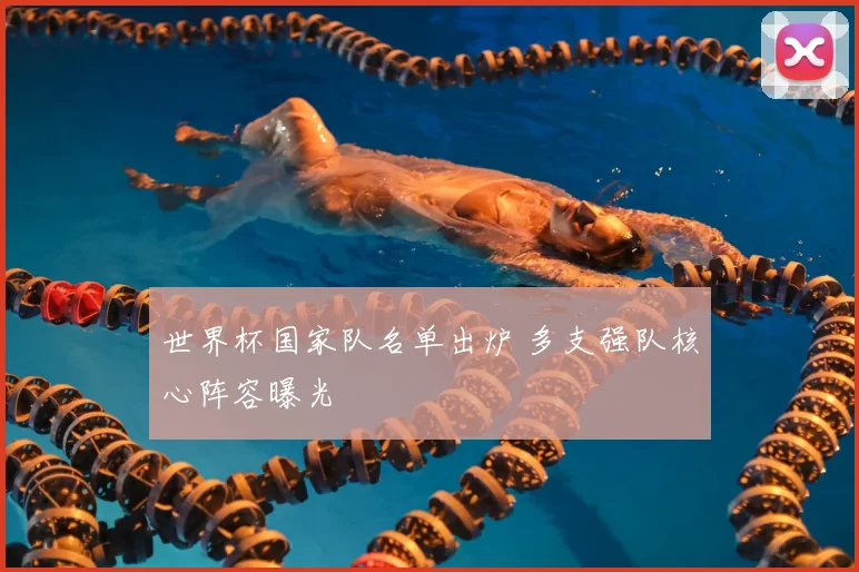 世界杯国家队名单出炉 多支强队核心阵容曝光